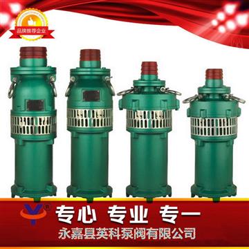 充油式潛（qián）水電泵